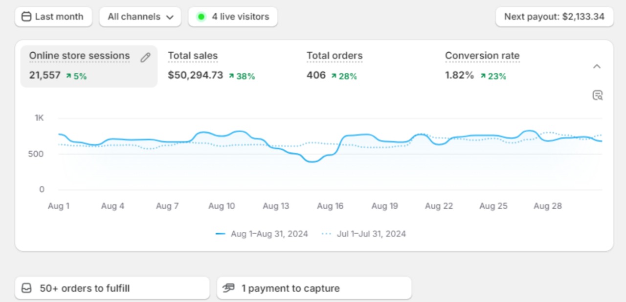 Meta Ads Performance Results for Baby & Kids Product Brand