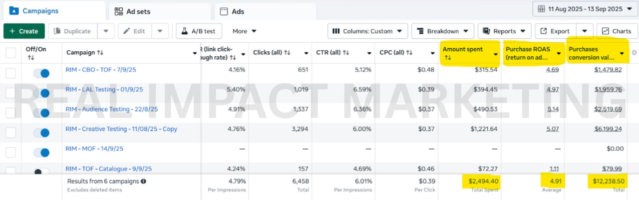 Meta Ads Performance Results for Fashion Brand